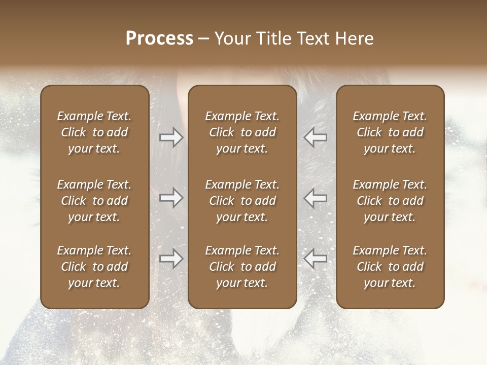 Fur Woman Frozen PowerPoint Template