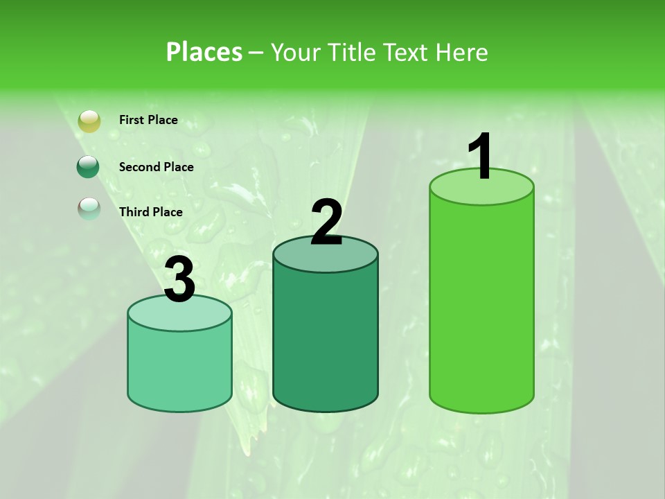 Flowers Decoration Group PowerPoint Template