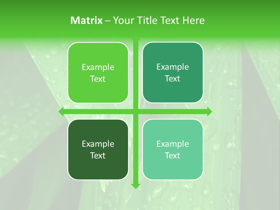 Flowers Decoration Group PowerPoint Template
