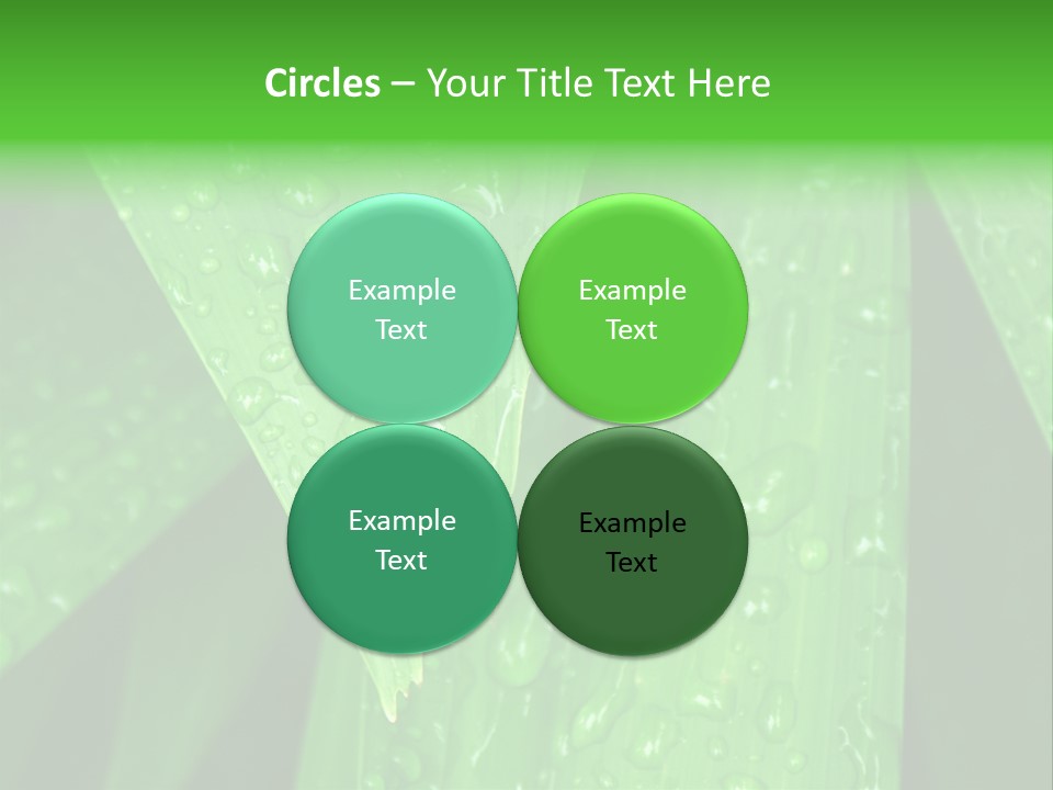 Flowers Decoration Group PowerPoint Template