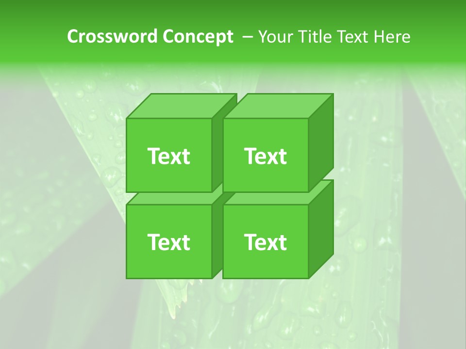 Flowers Decoration Group PowerPoint Template