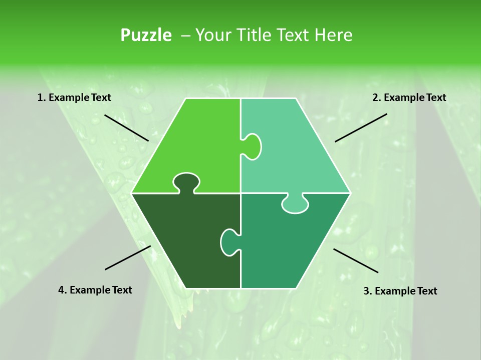 Flowers Decoration Group PowerPoint Template