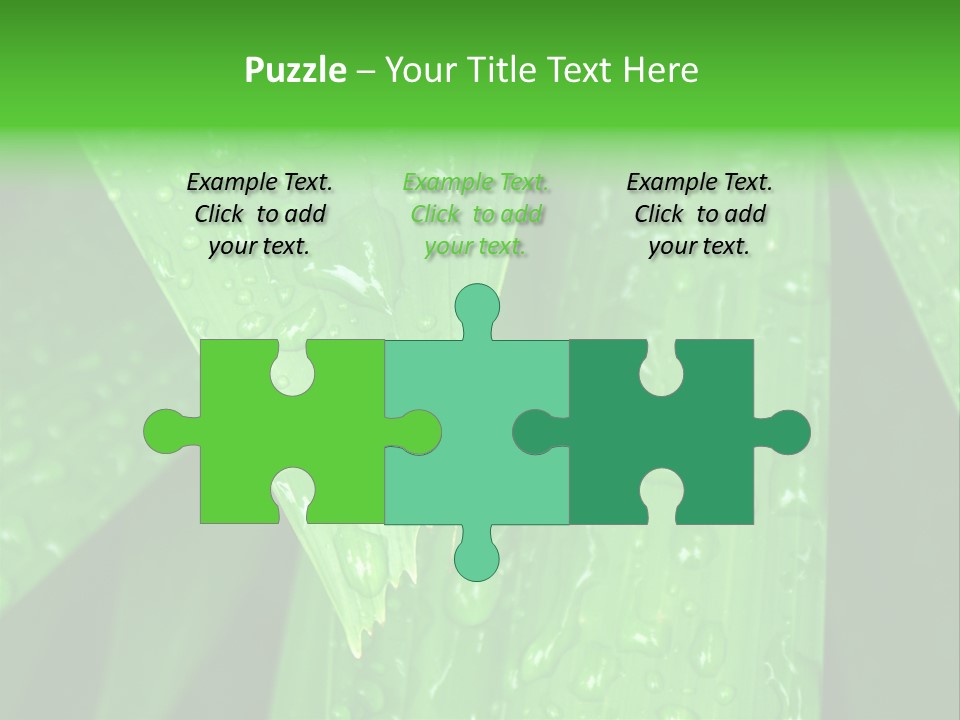 Flowers Decoration Group PowerPoint Template