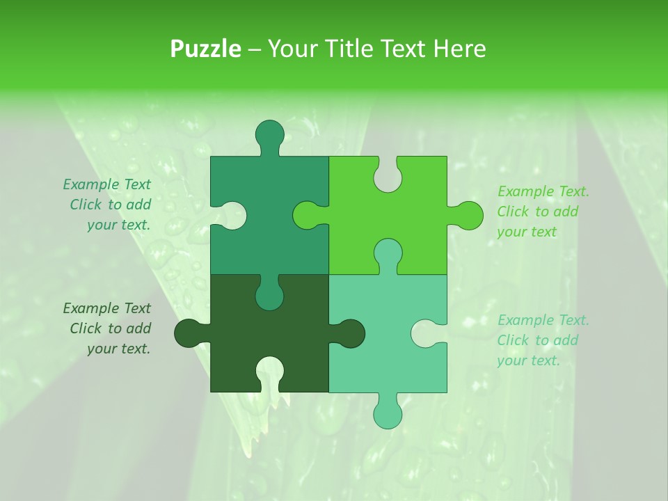 Flowers Decoration Group PowerPoint Template