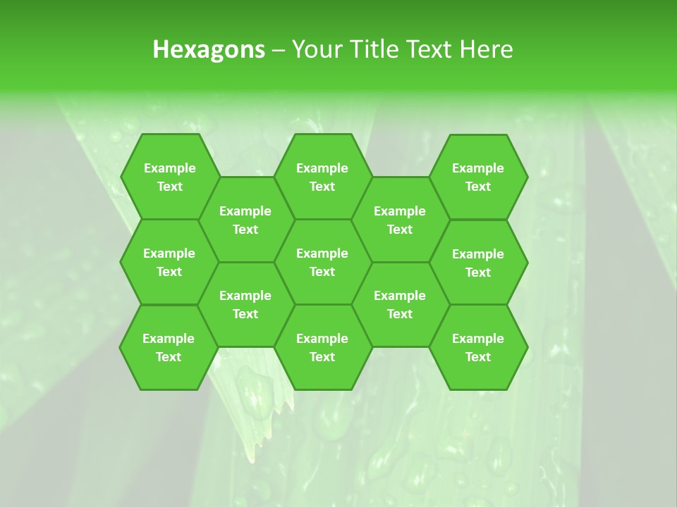 Flowers Decoration Group PowerPoint Template