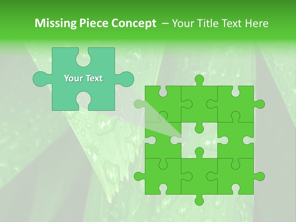 Flowers Decoration Group PowerPoint Template