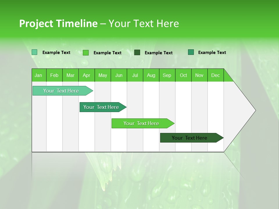 Flowers Decoration Group PowerPoint Template