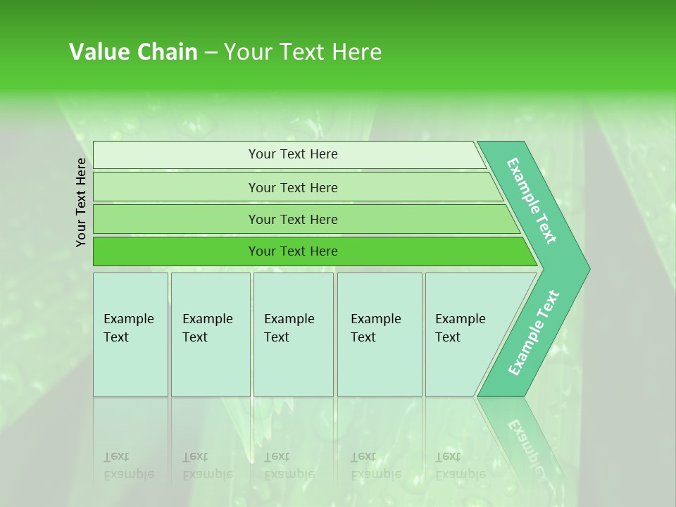 Flowers Decoration Group PowerPoint Template