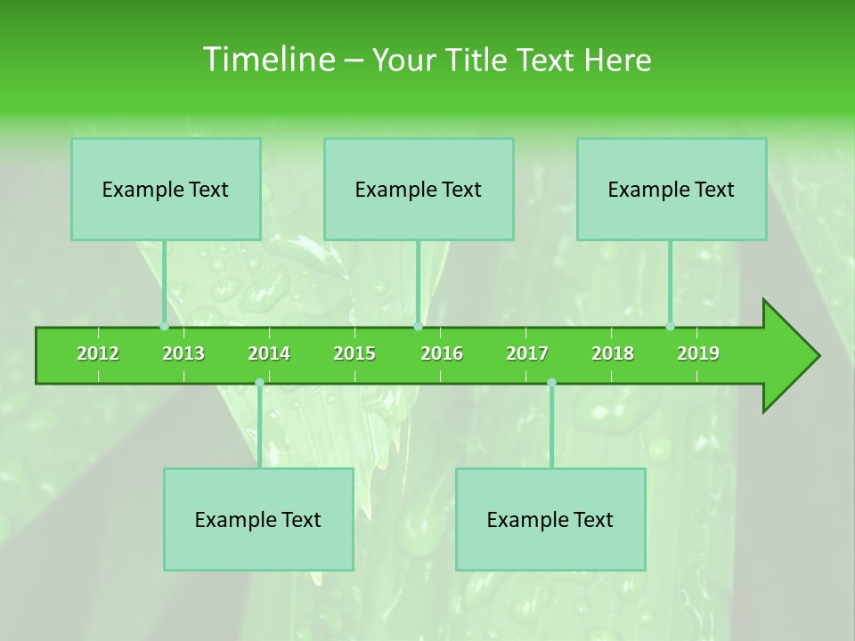 Flowers Decoration Group PowerPoint Template