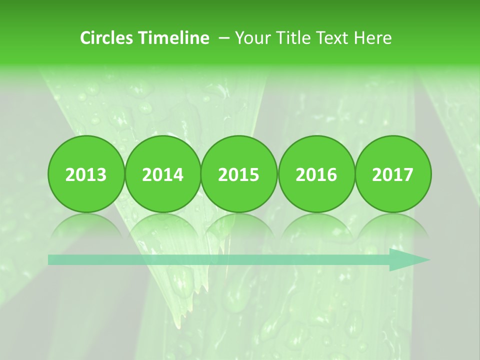 Flowers Decoration Group PowerPoint Template