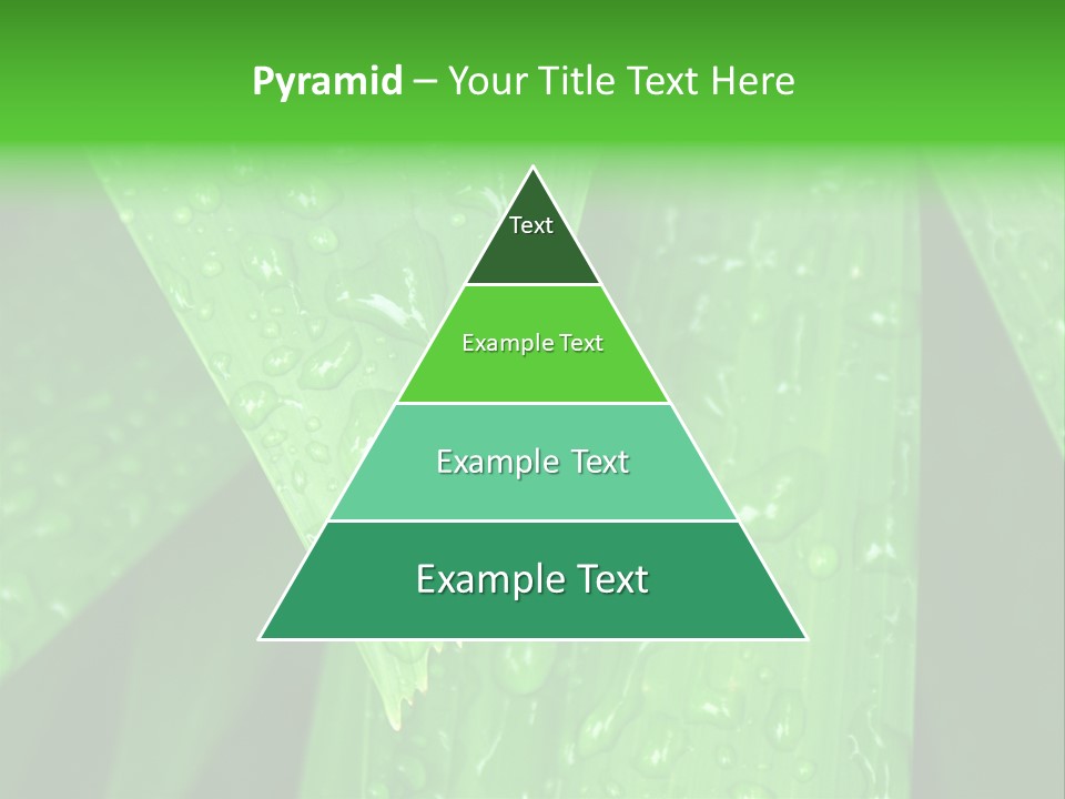 Flowers Decoration Group PowerPoint Template
