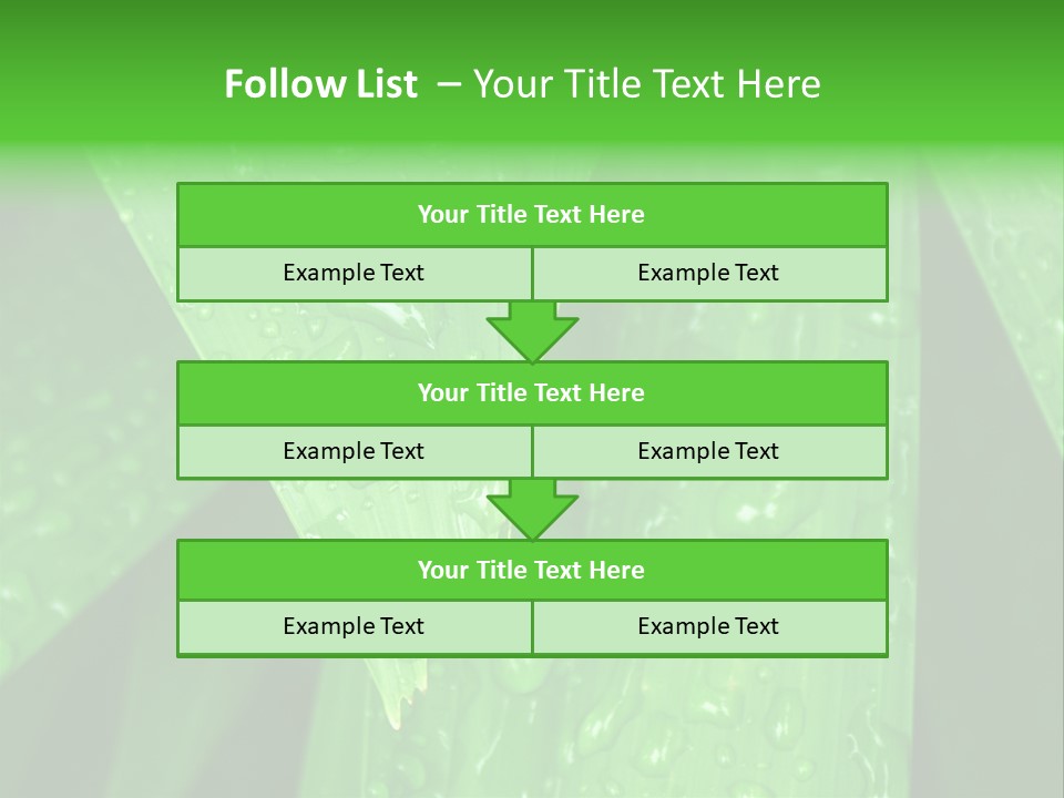 Flowers Decoration Group PowerPoint Template