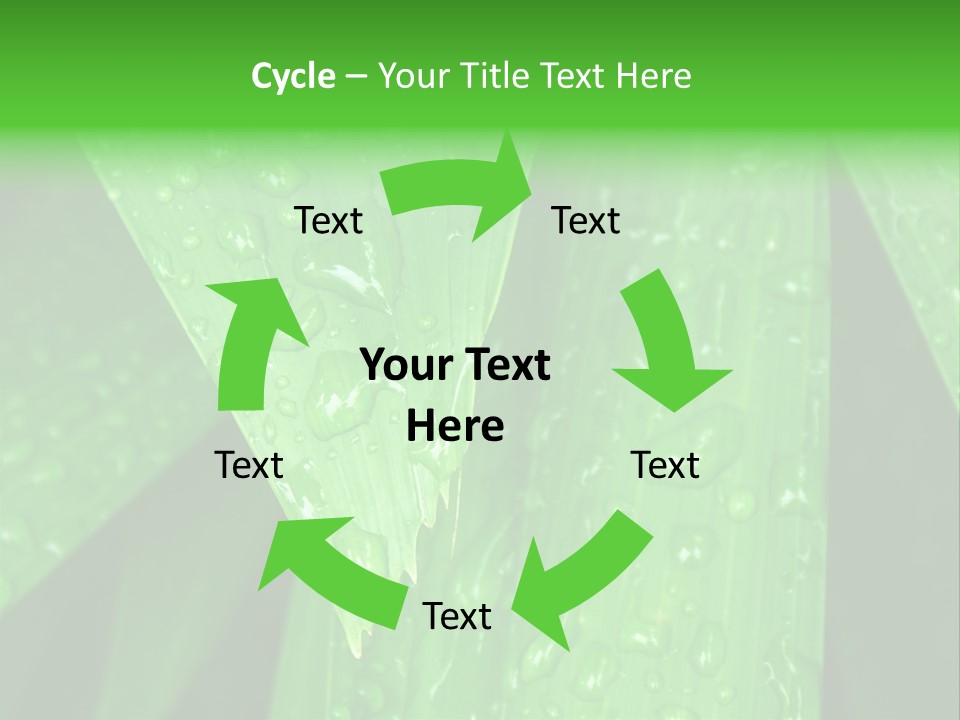 Flowers Decoration Group PowerPoint Template