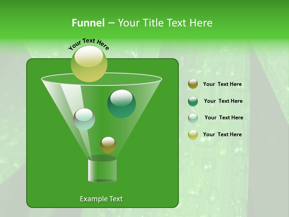 Flowers Decoration Group PowerPoint Template