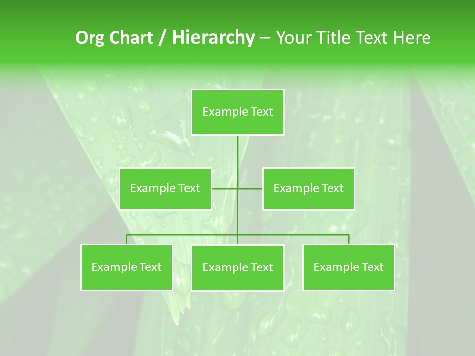 Flowers Decoration Group PowerPoint Template