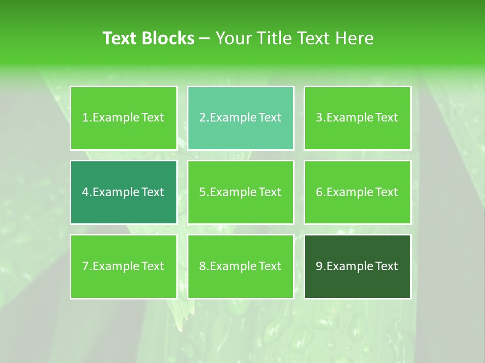 Flowers Decoration Group PowerPoint Template