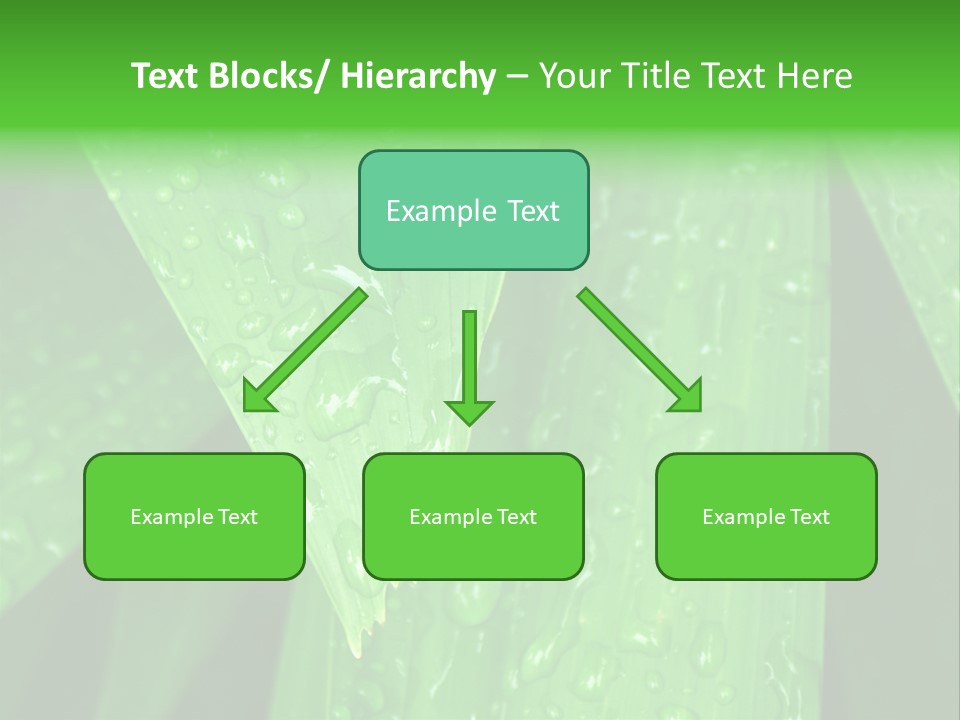 Flowers Decoration Group PowerPoint Template