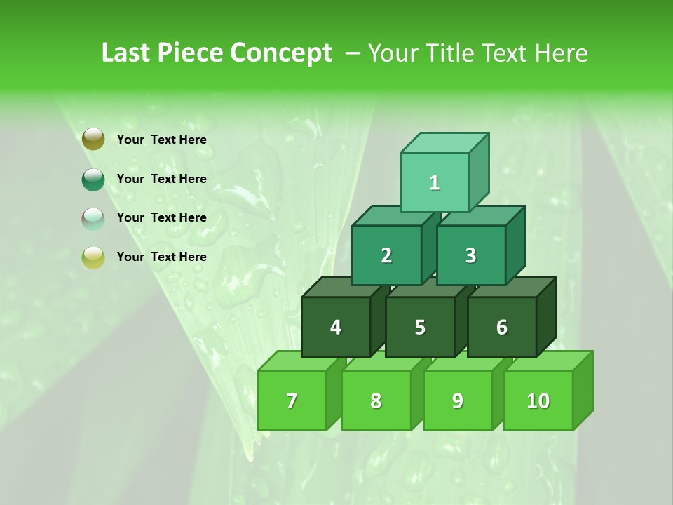 Flowers Decoration Group PowerPoint Template