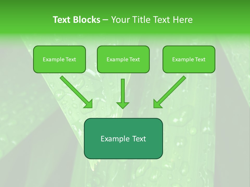 Flowers Decoration Group PowerPoint Template