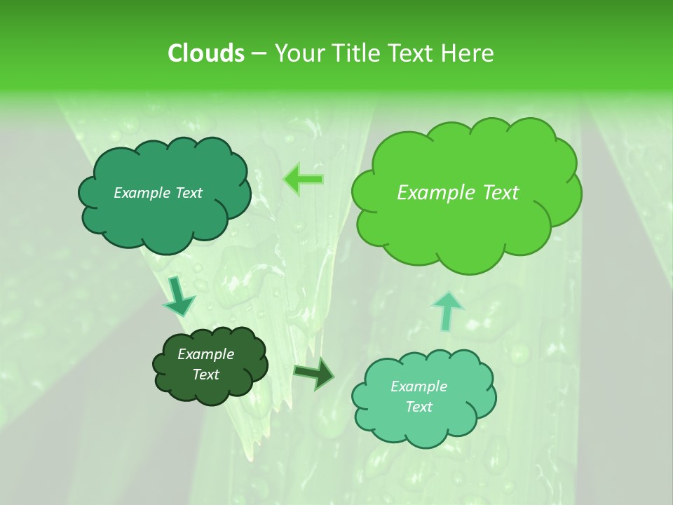 Flowers Decoration Group PowerPoint Template