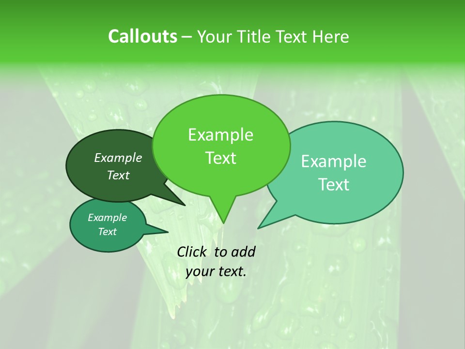 Flowers Decoration Group PowerPoint Template