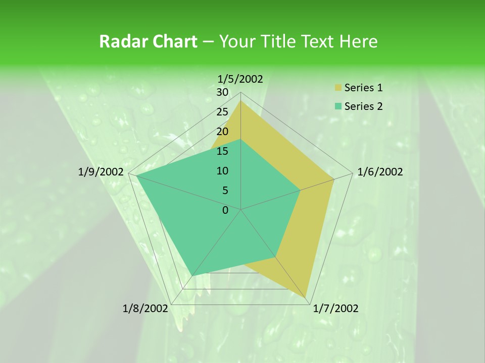 Flowers Decoration Group PowerPoint Template