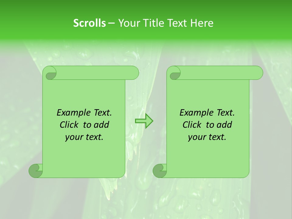 Flowers Decoration Group PowerPoint Template