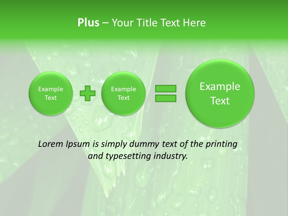 Flowers Decoration Group PowerPoint Template