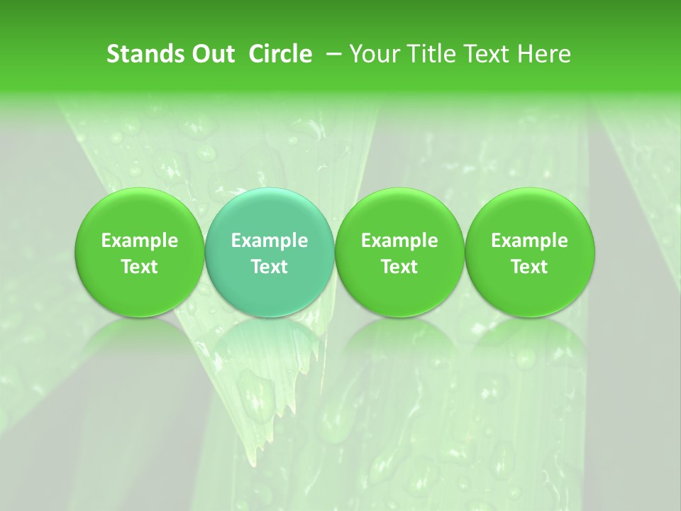 Flowers Decoration Group PowerPoint Template