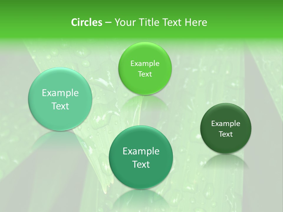 Flowers Decoration Group PowerPoint Template