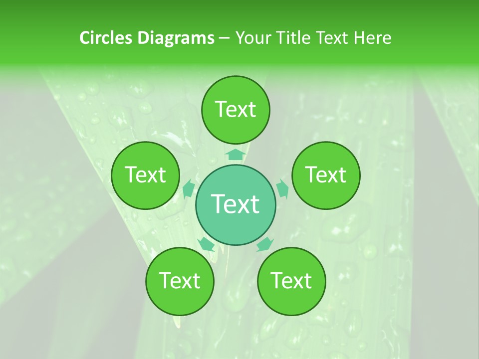 Flowers Decoration Group PowerPoint Template