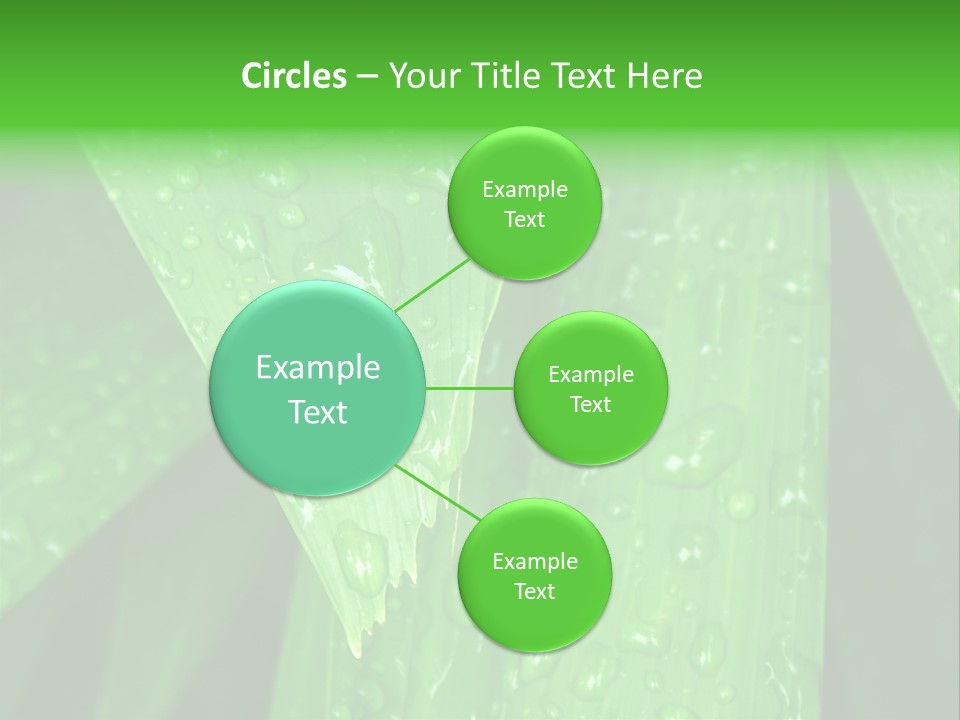 Flowers Decoration Group PowerPoint Template