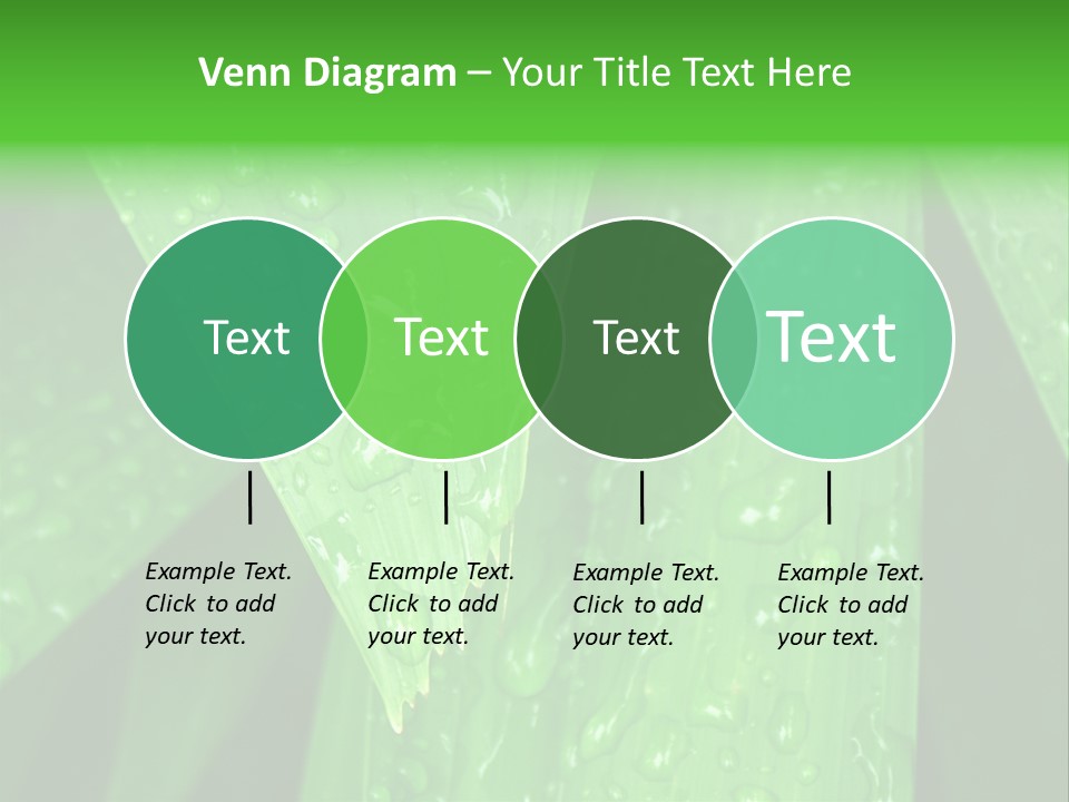 Flowers Decoration Group PowerPoint Template