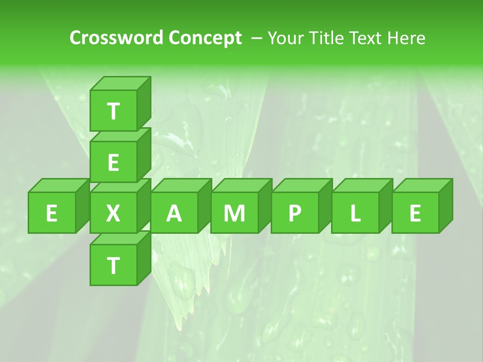 Flowers Decoration Group PowerPoint Template