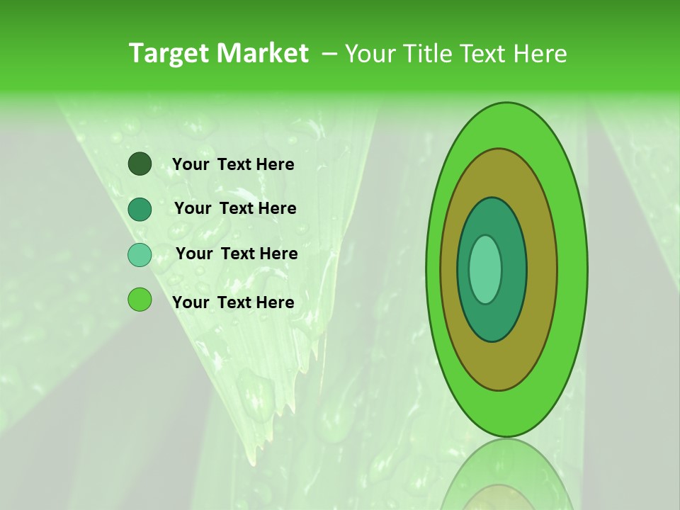 Flowers Decoration Group PowerPoint Template