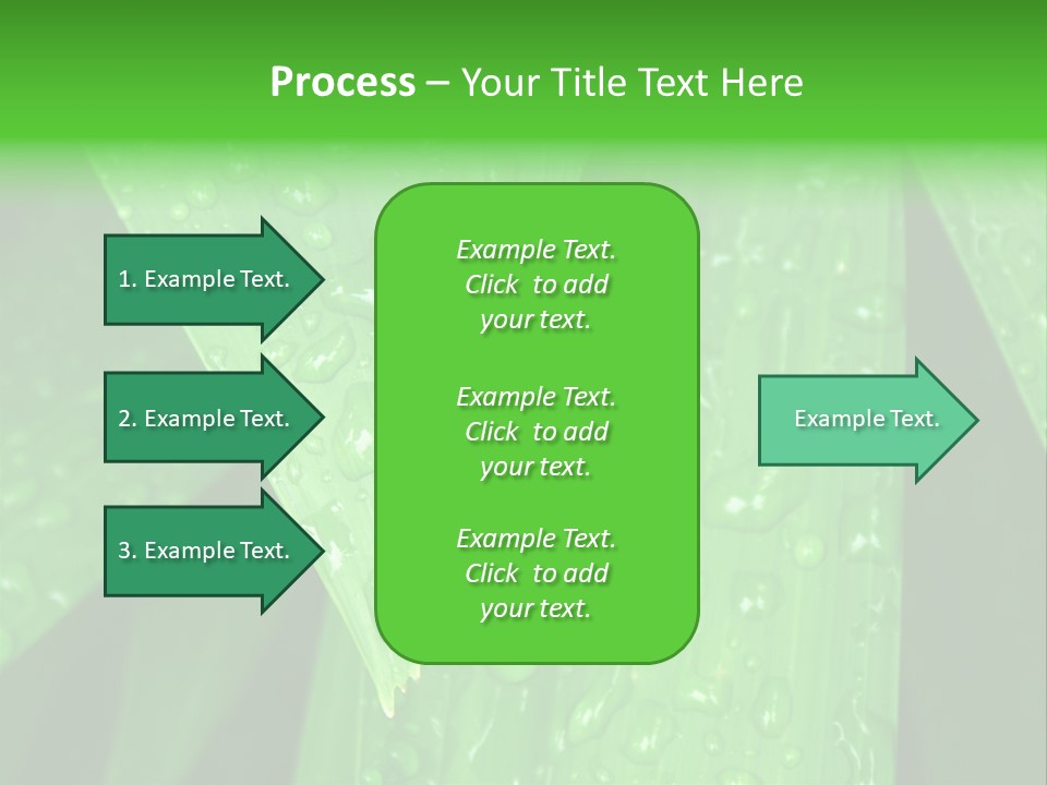 Flowers Decoration Group PowerPoint Template