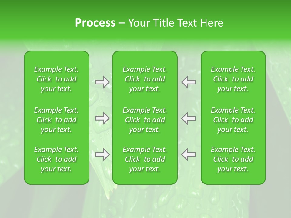Flowers Decoration Group PowerPoint Template
