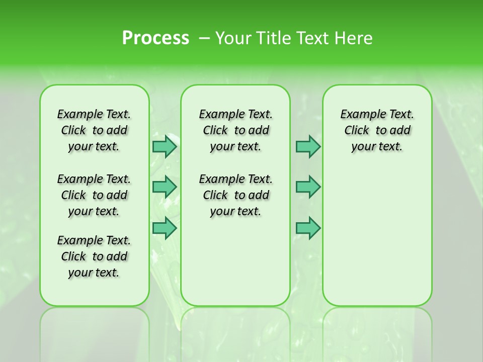 Flowers Decoration Group PowerPoint Template