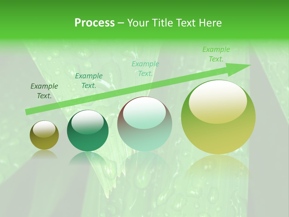 Flowers Decoration Group PowerPoint Template