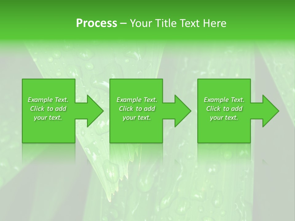 Flowers Decoration Group PowerPoint Template