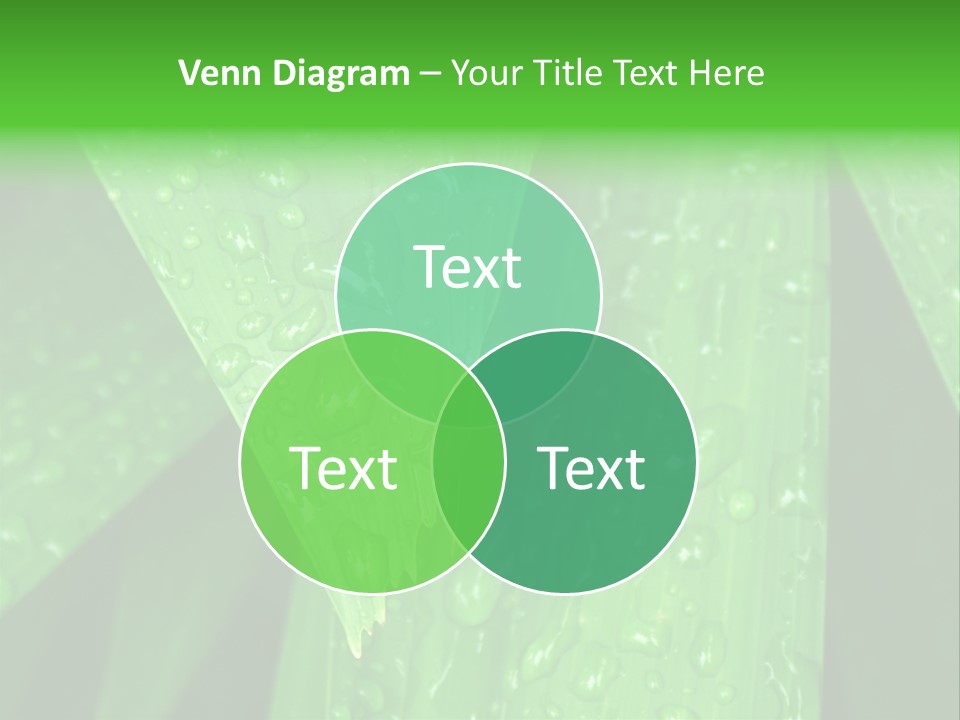 Flowers Decoration Group PowerPoint Template