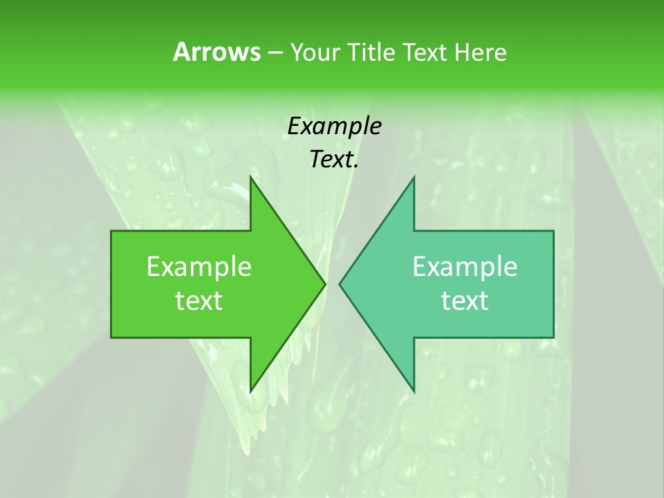 Flowers Decoration Group PowerPoint Template