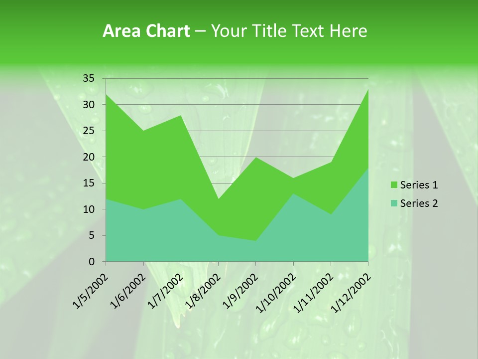 Flowers Decoration Group PowerPoint Template