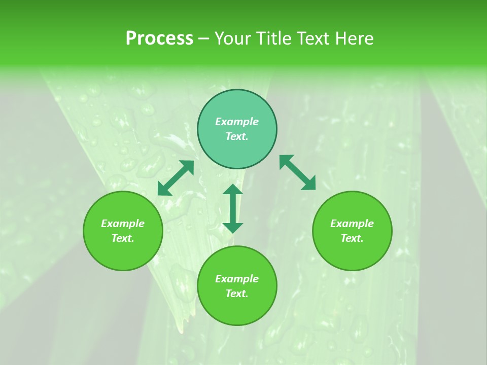 Flowers Decoration Group PowerPoint Template