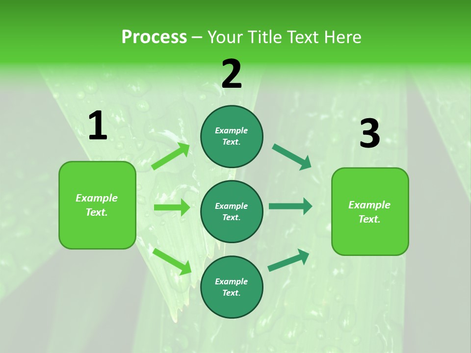 Flowers Decoration Group PowerPoint Template