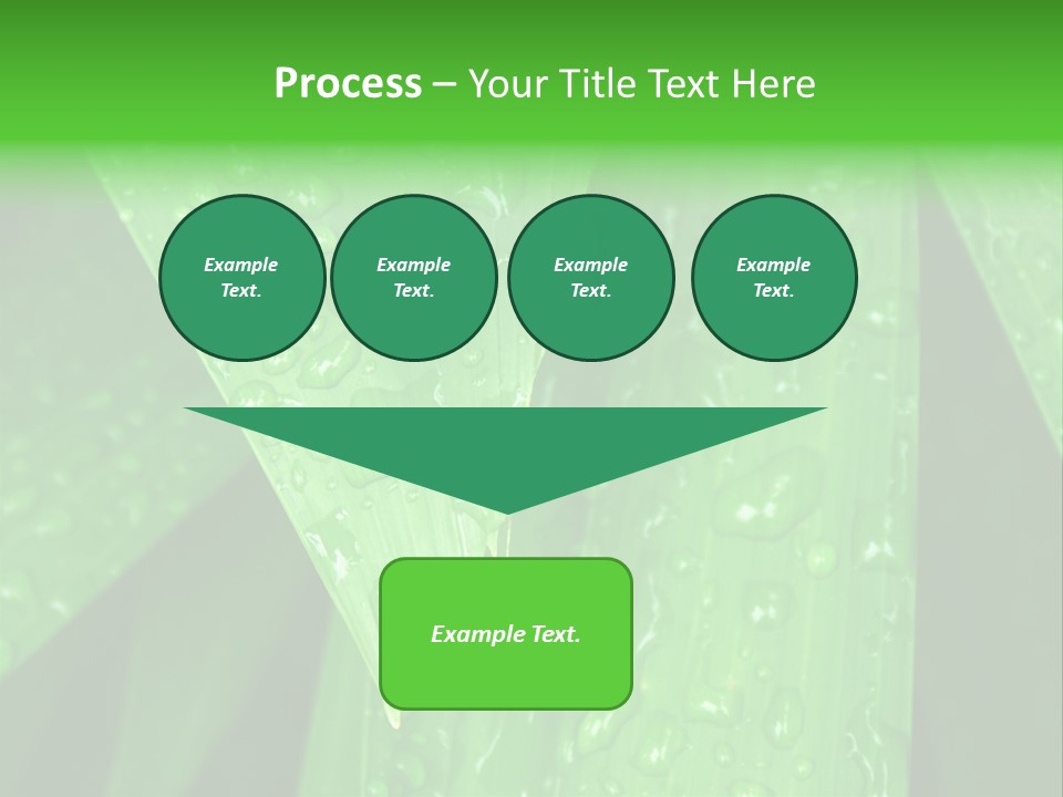 Flowers Decoration Group PowerPoint Template