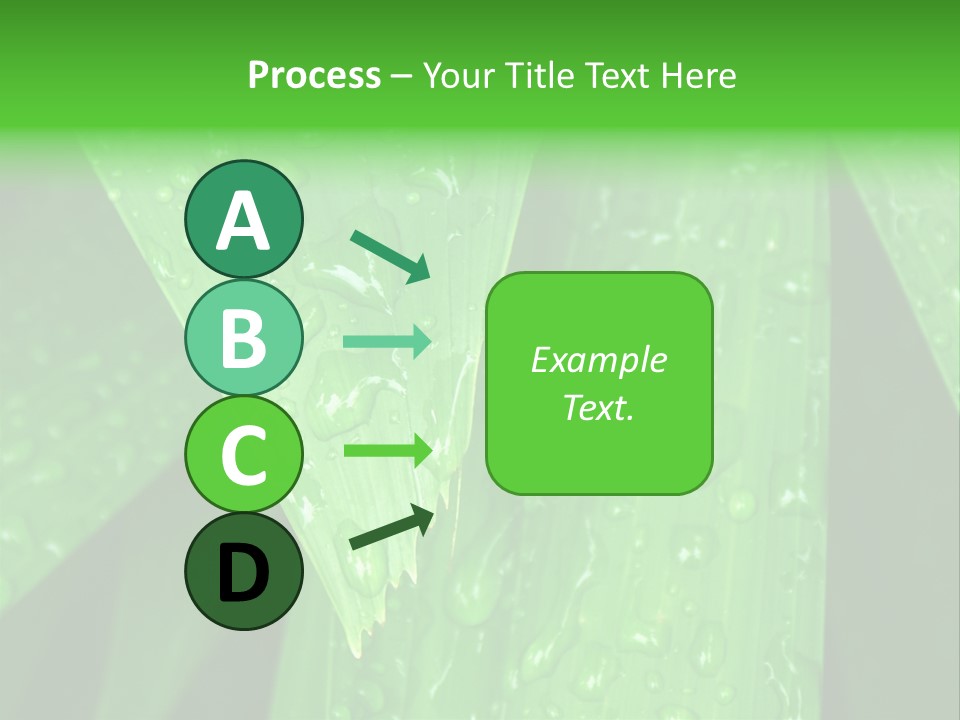 Flowers Decoration Group PowerPoint Template