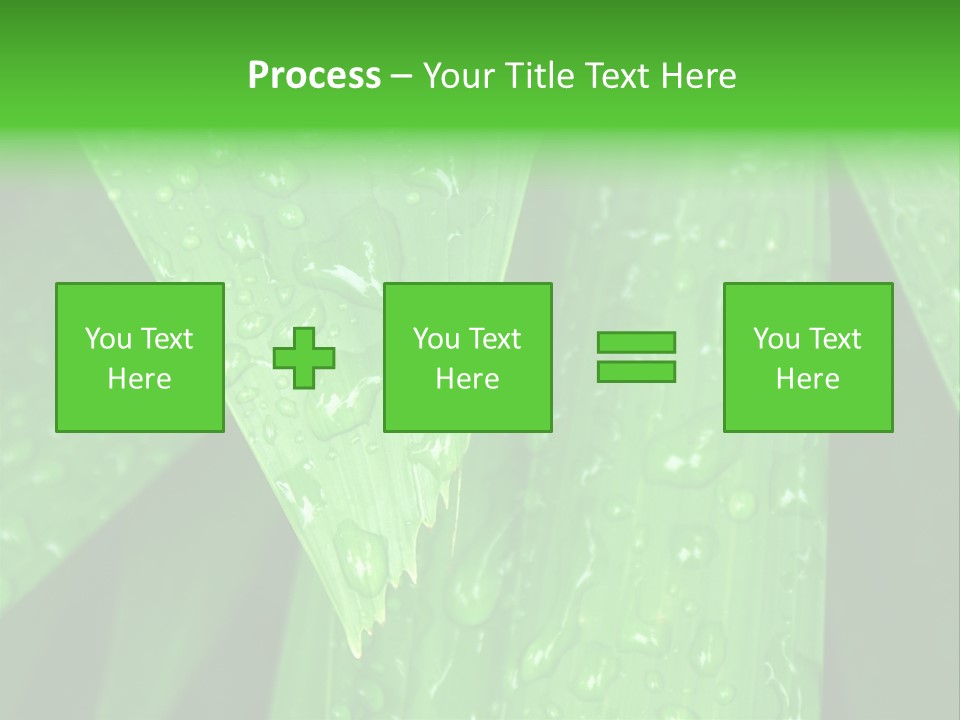 Flowers Decoration Group PowerPoint Template
