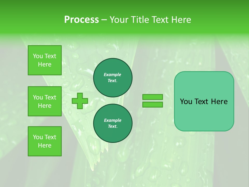 Flowers Decoration Group PowerPoint Template