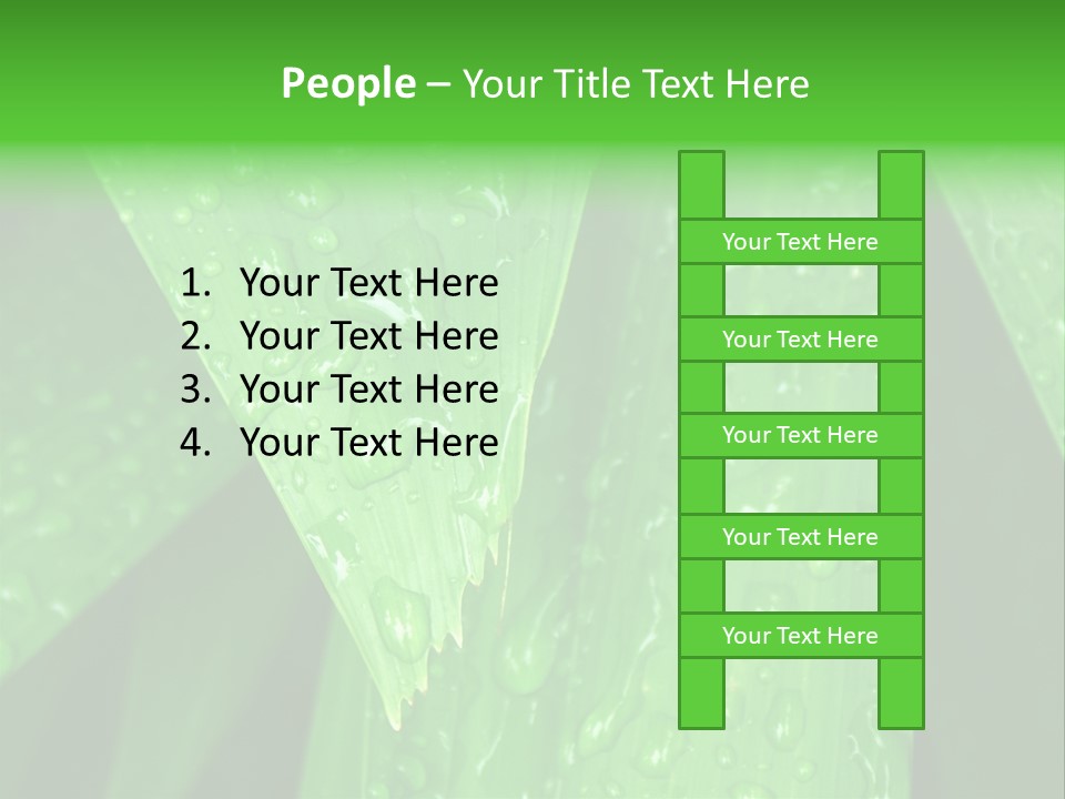 Flowers Decoration Group PowerPoint Template